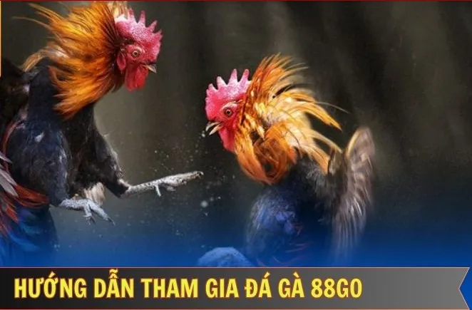 Giới thiệu chung về đá gà trực tuyến 88go